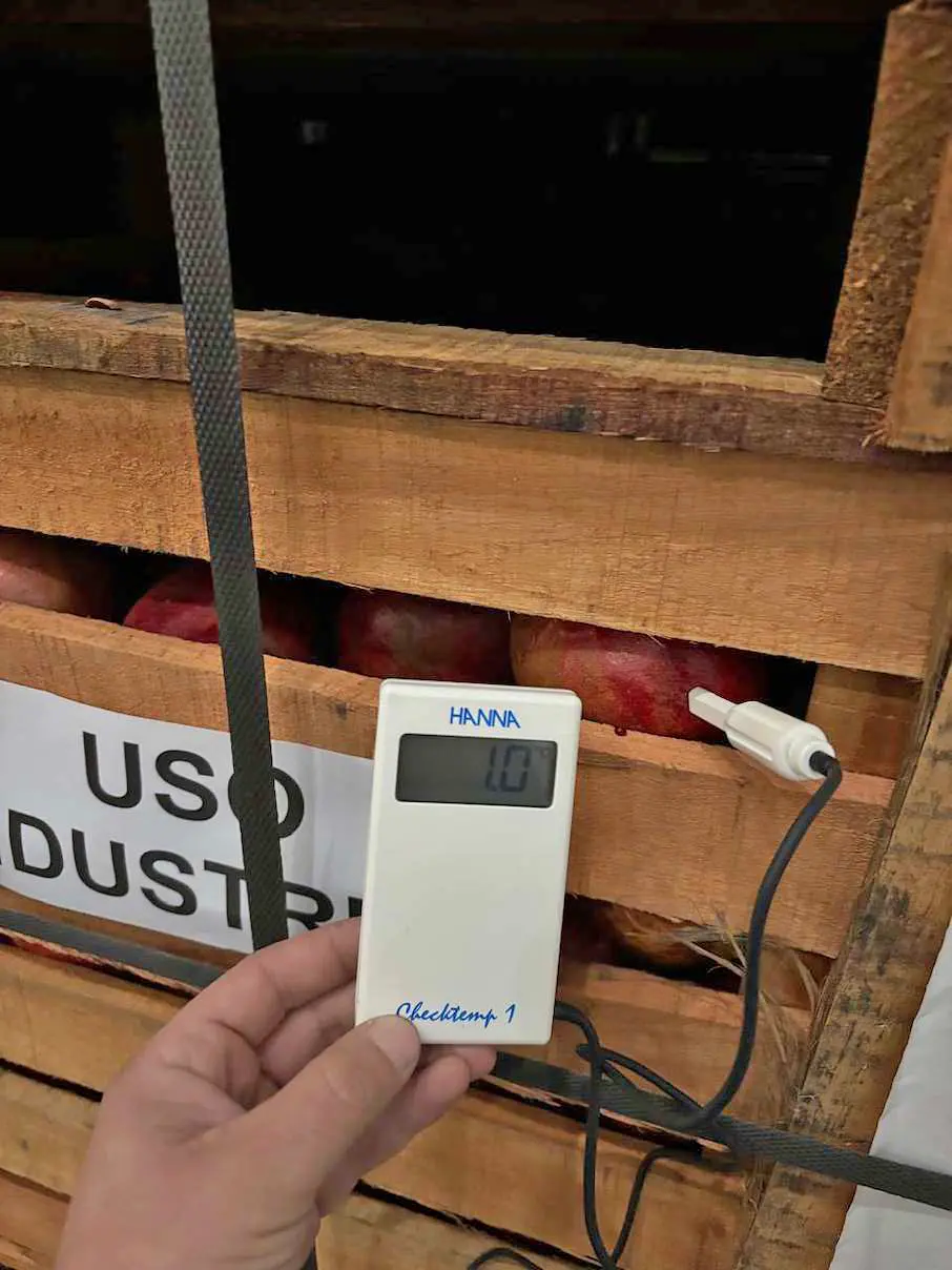 Control de temperatura en fruta paletizada con termómetro digital Hanna Checktemp